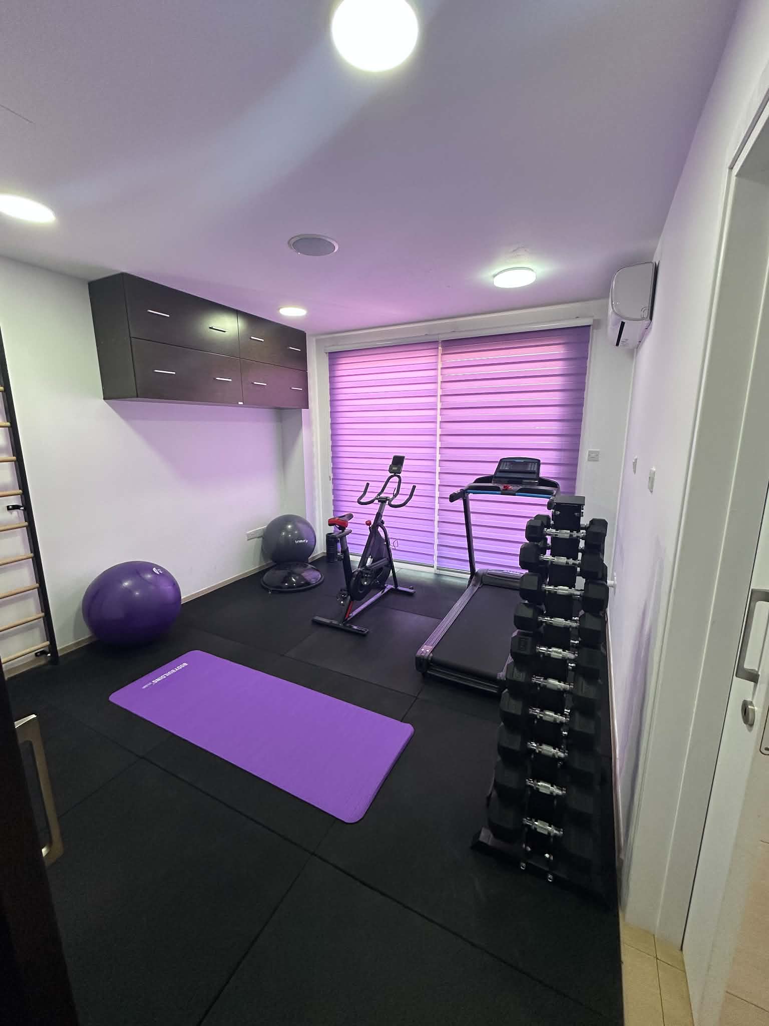 Exercise and Rehabilitation Room
